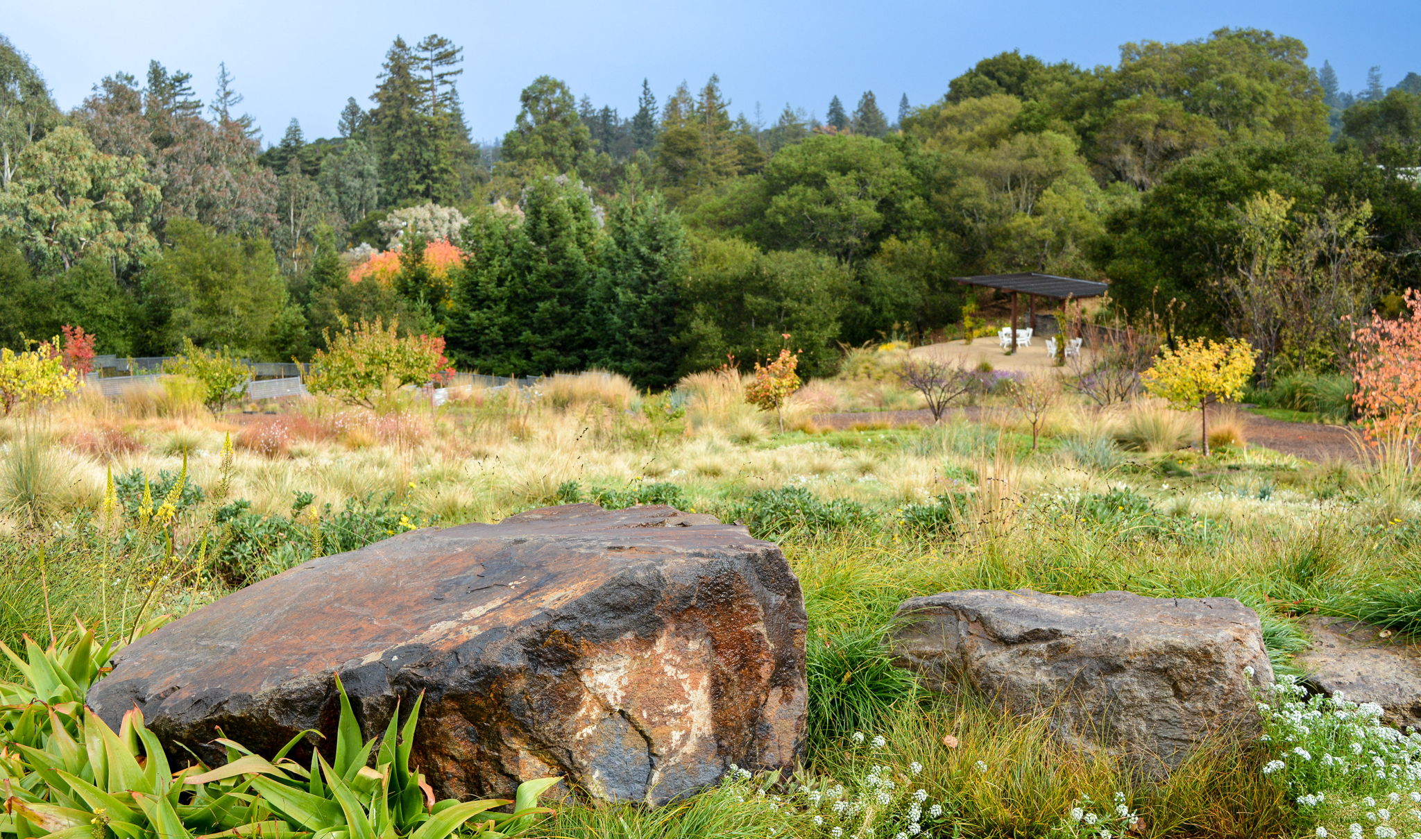 Two large rocks in front of a light open meadow.