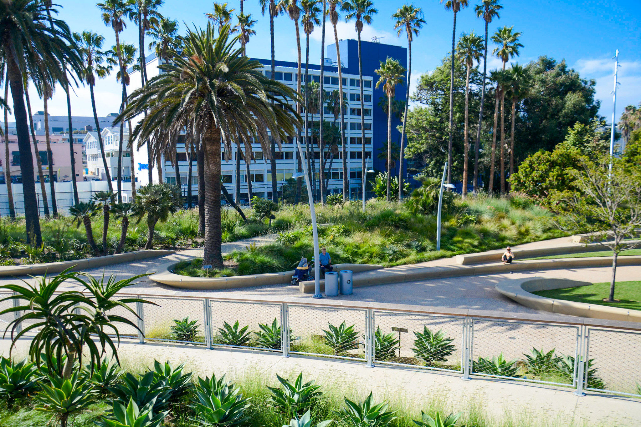 Tongva Park's grassy hills and palm trees.