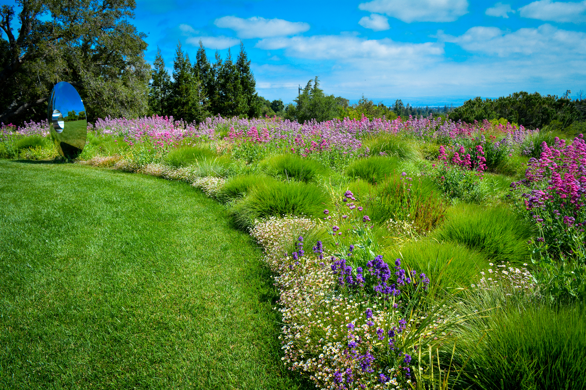 A colorful meadow borders a traditional lawn and a metal sculpture.