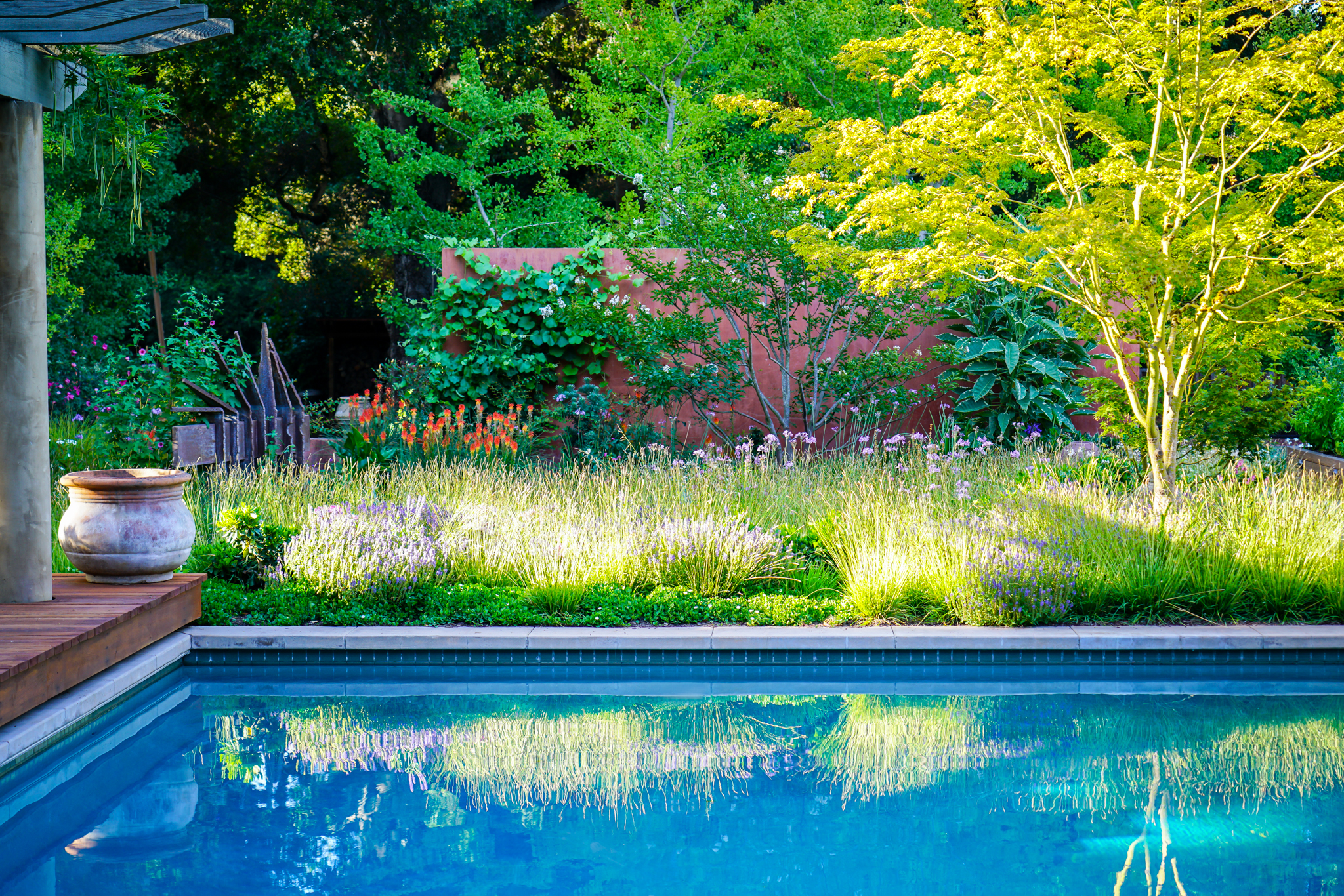 Purple and red flowers dot the low Sesleria grasses across a pool.