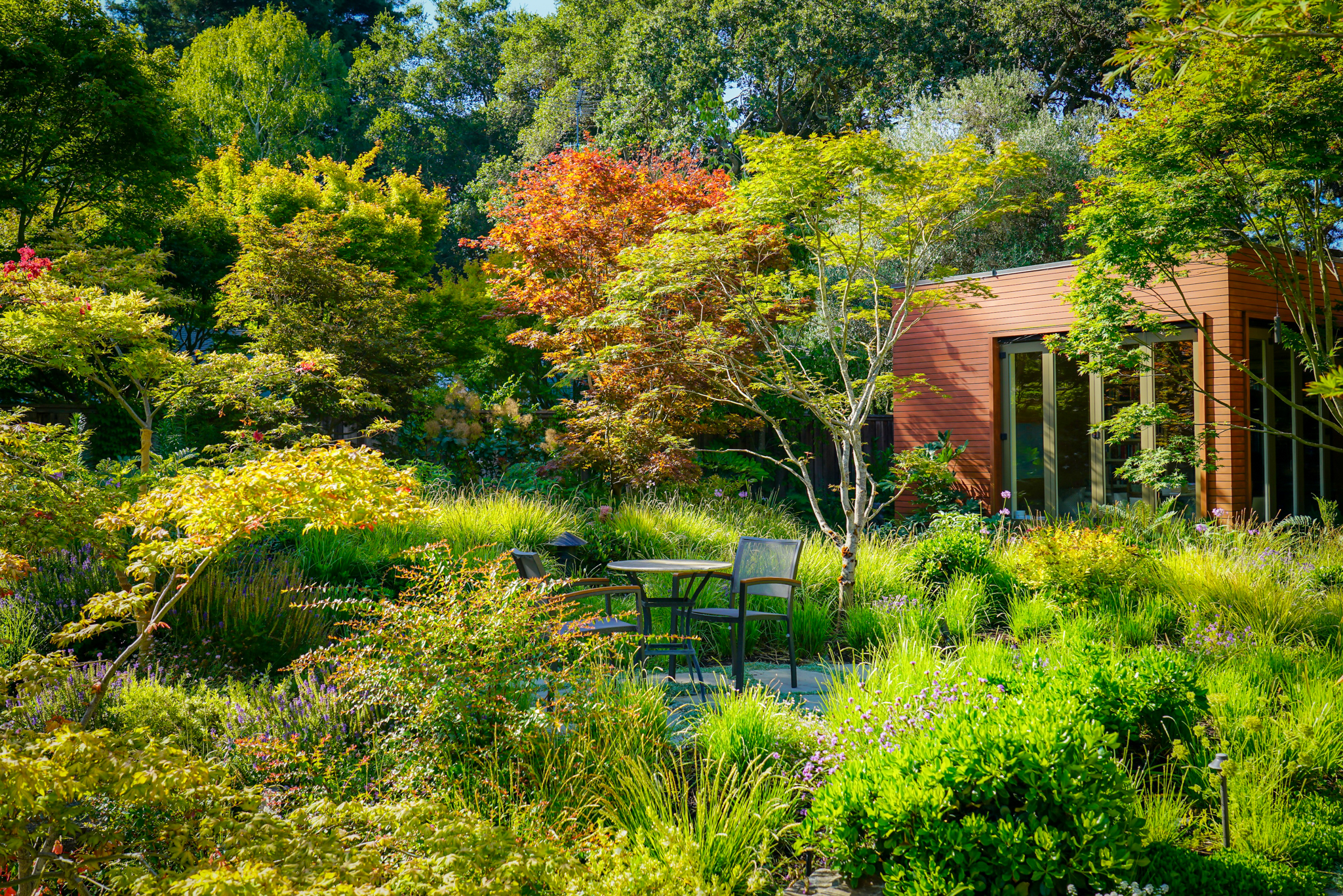 Lush fall foliage surrounds outdoor seating and the face of a modern building.