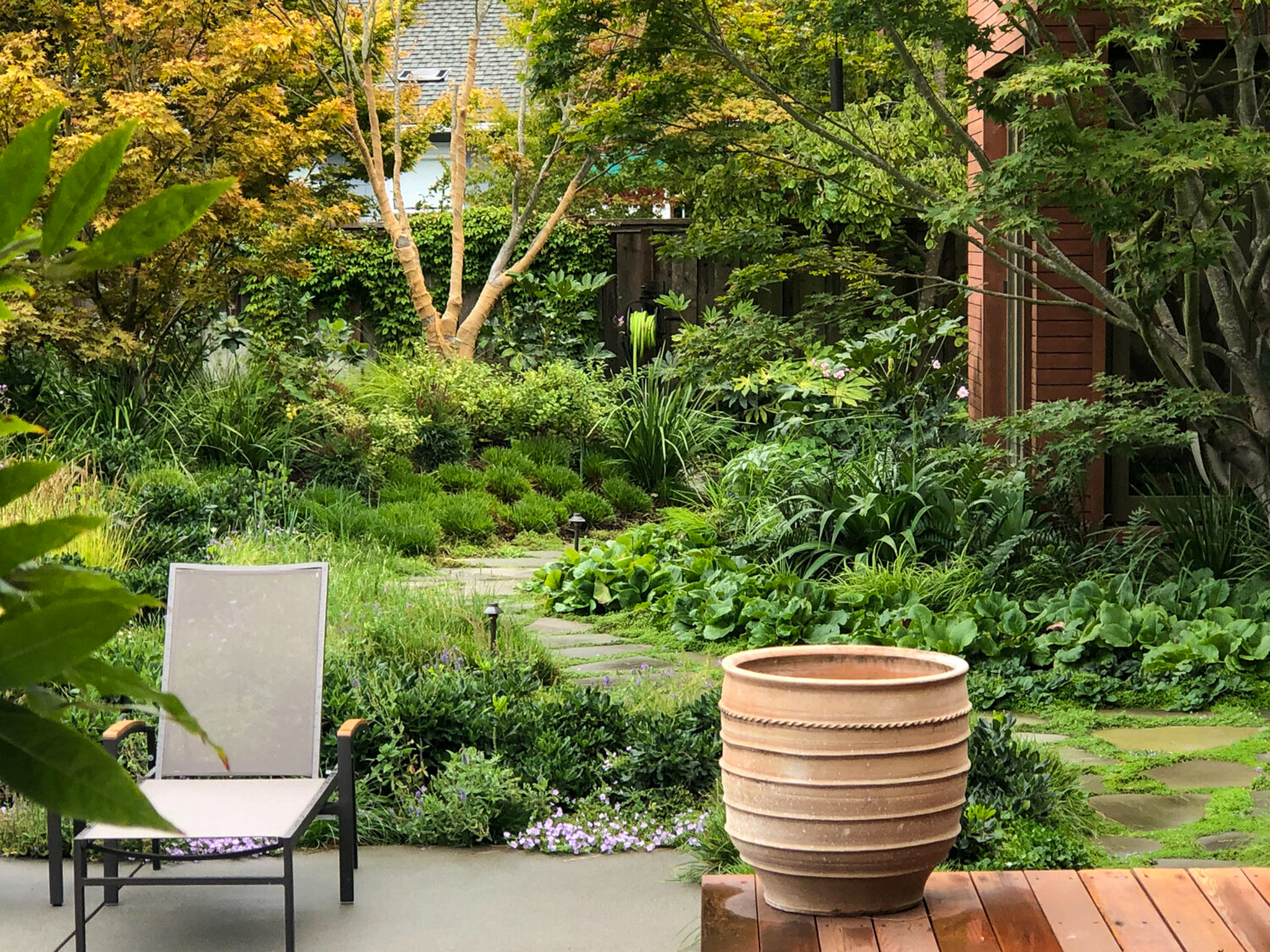 Dense greenery surrounds the stone path from low shrubs in the underbrush to towering maple trees.