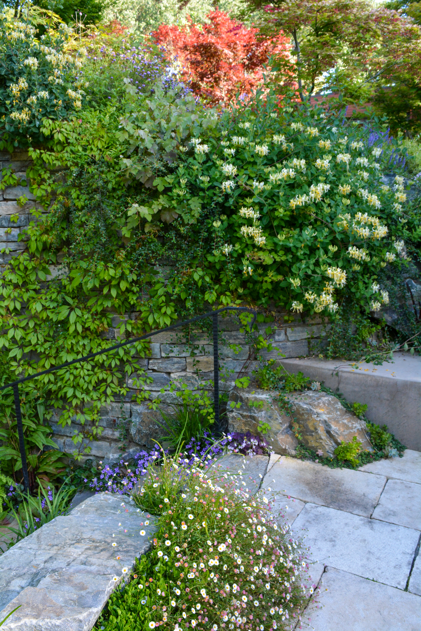 Bushles of vines and bellflower drape over a stone wall.