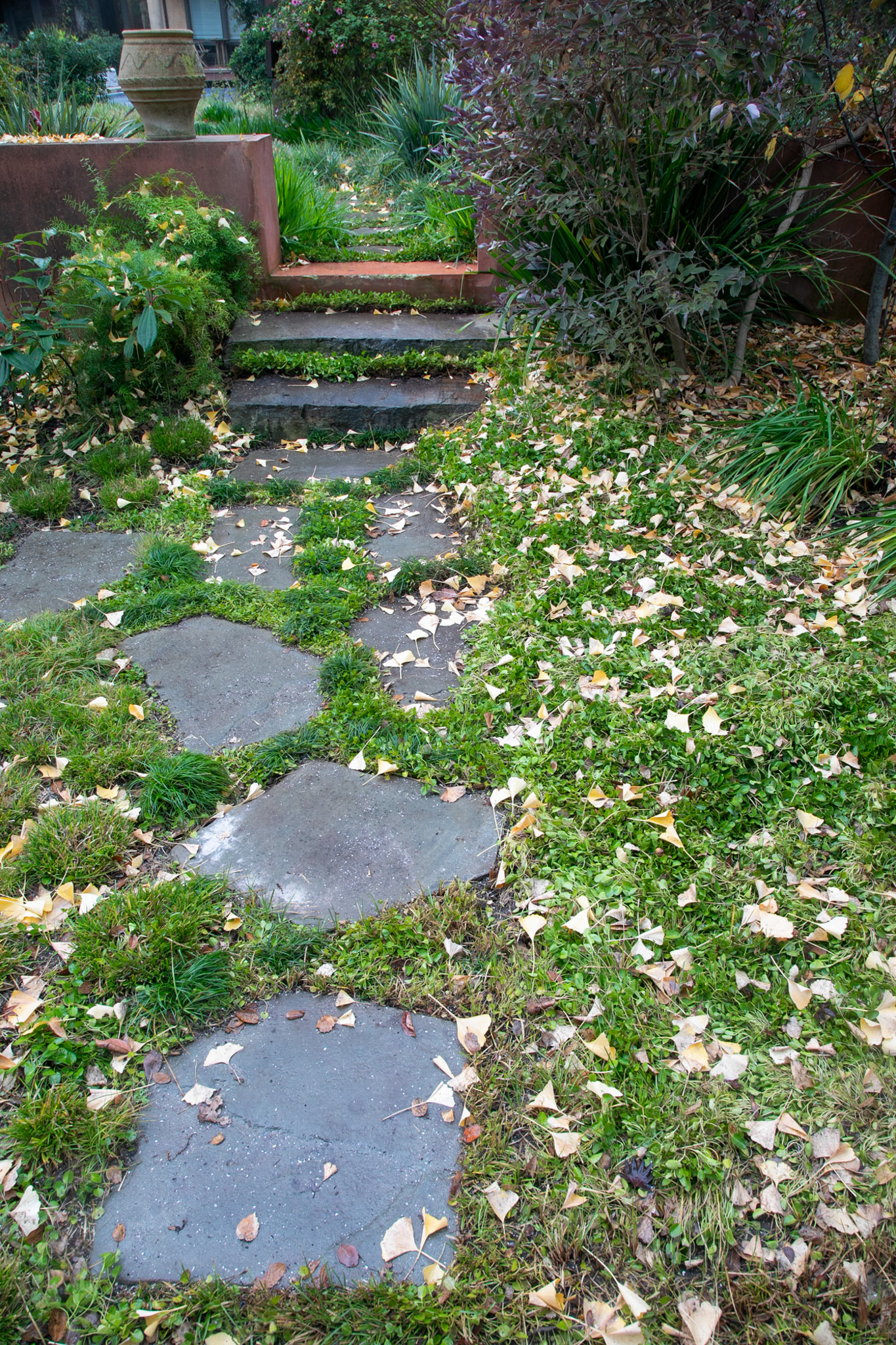 Grass-like plants grow between the stone path leading to a staircase.