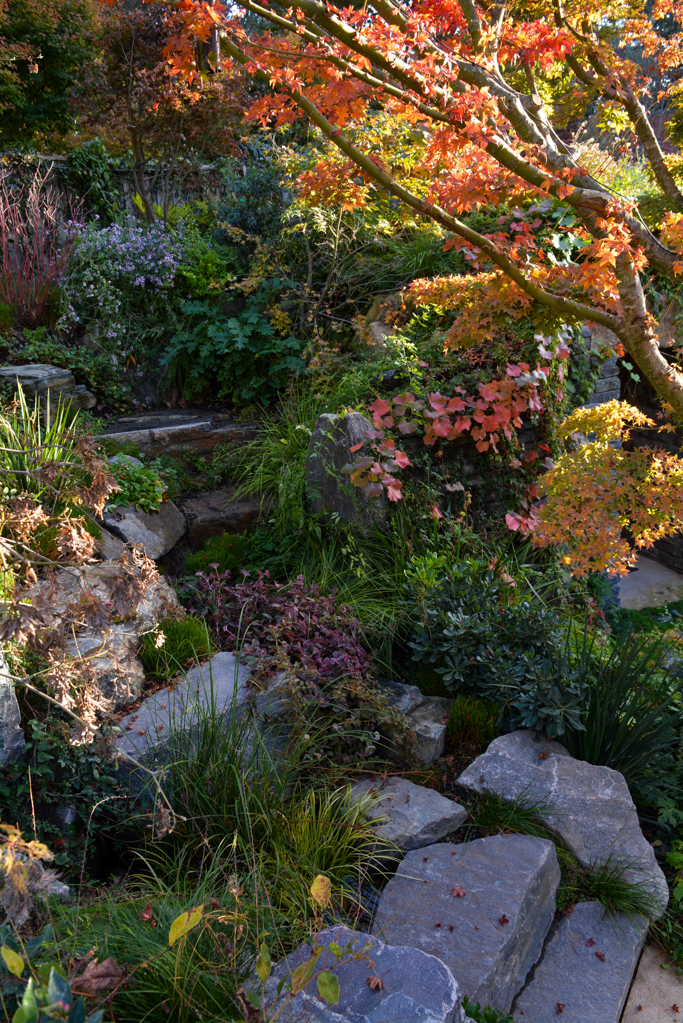 Autumn colors surround the stone steps.