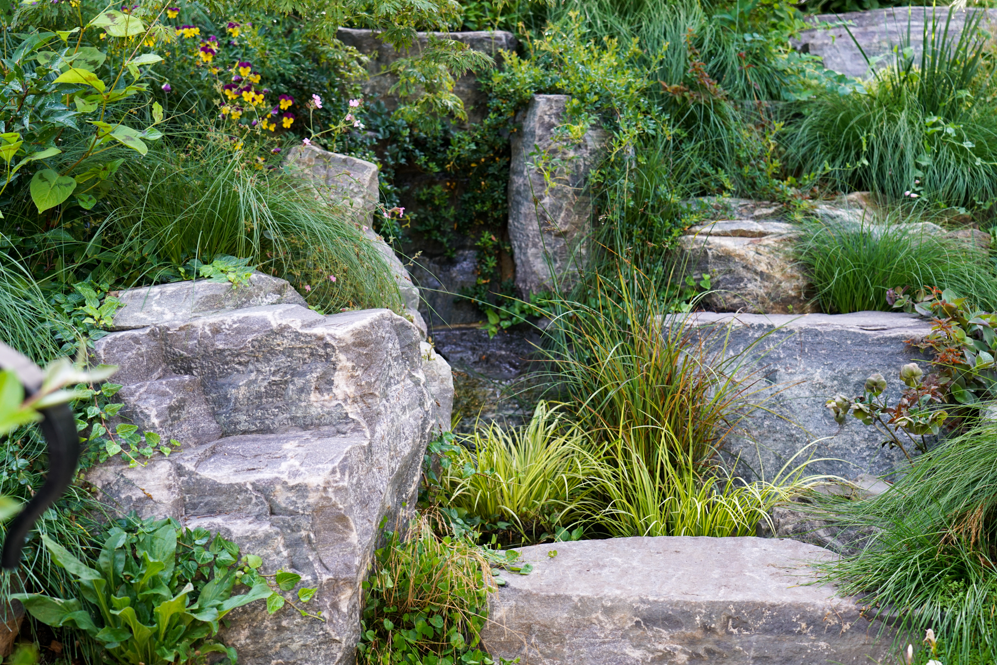 A quiet stream of water nestled amongst large rocks and grasses.