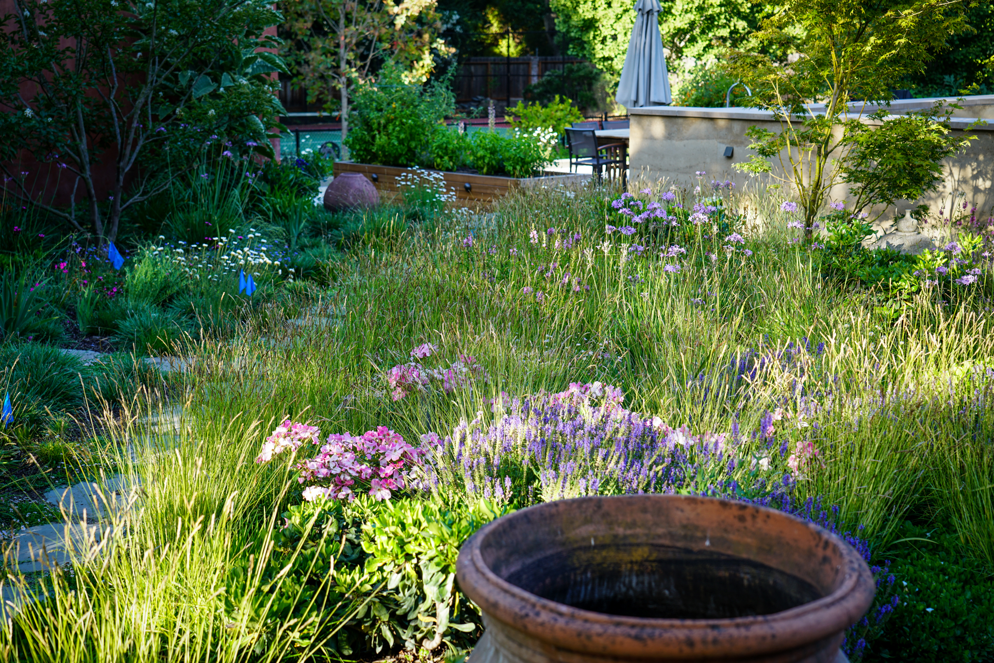 Spots of colorful roses interspersed with sunlit grasses decorate the stone walkway.