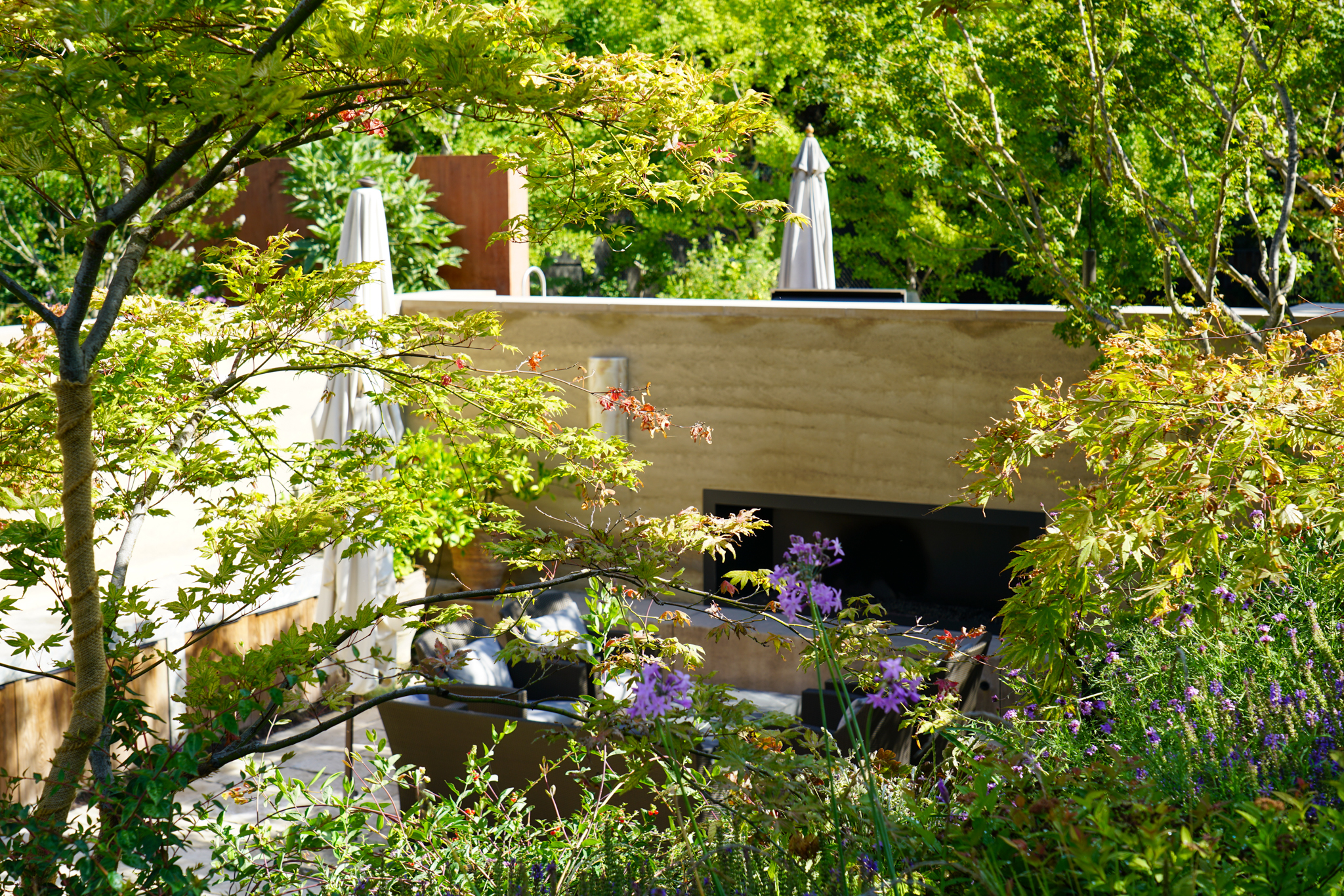 The sunken patio hides behind sundappled plants.