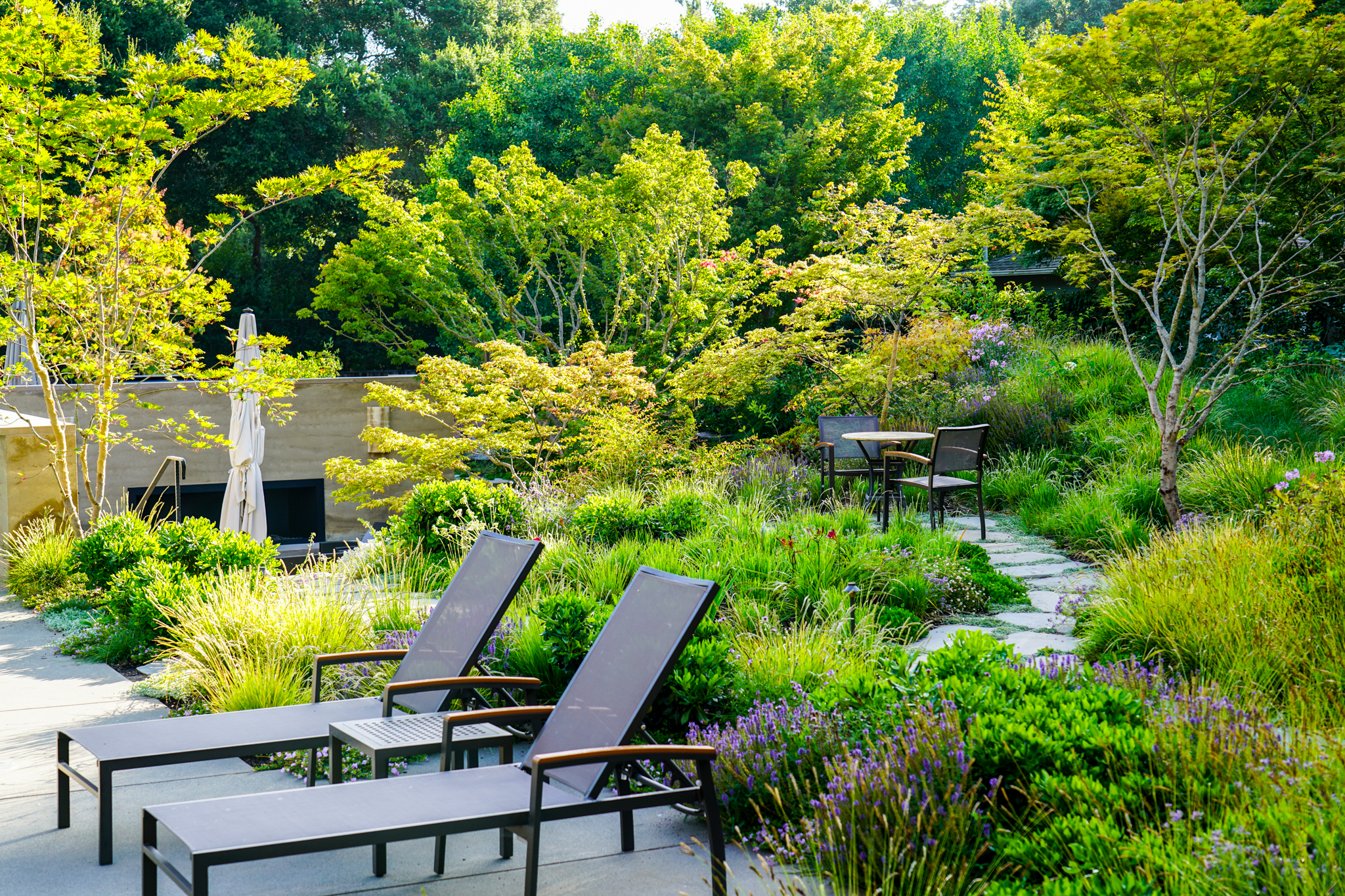 Lounge chairs and a small table set amid lush greenery, featuring ornamental grasses, flowering bulbs, and Japanese Maple trees.