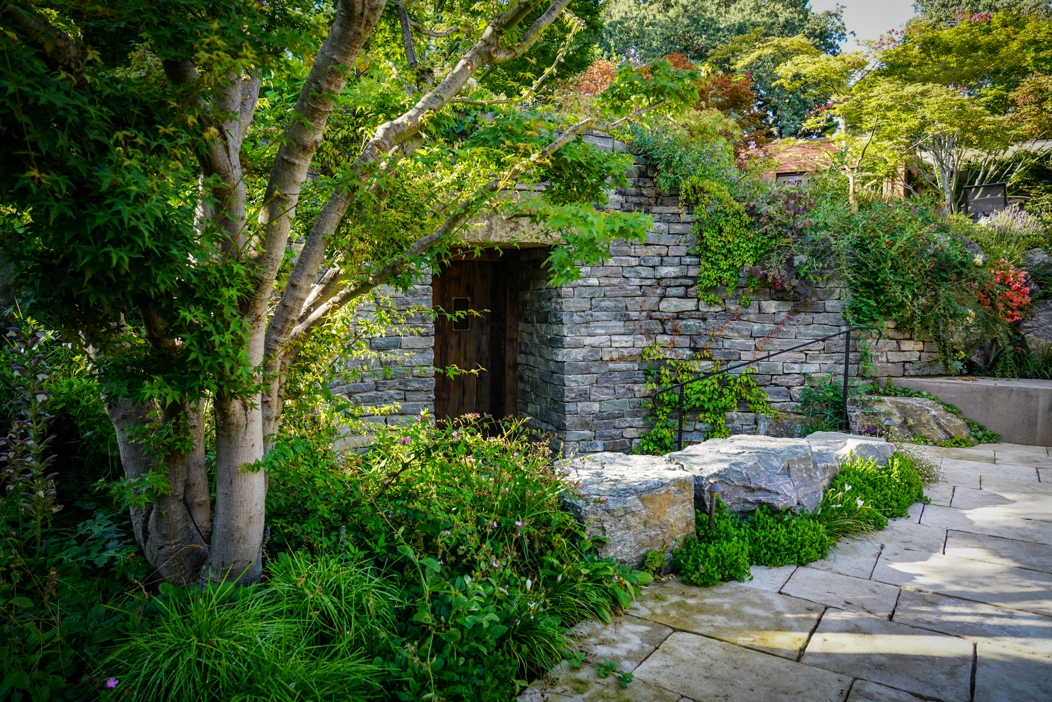 Vines creep up the stone face of a wine cellar.