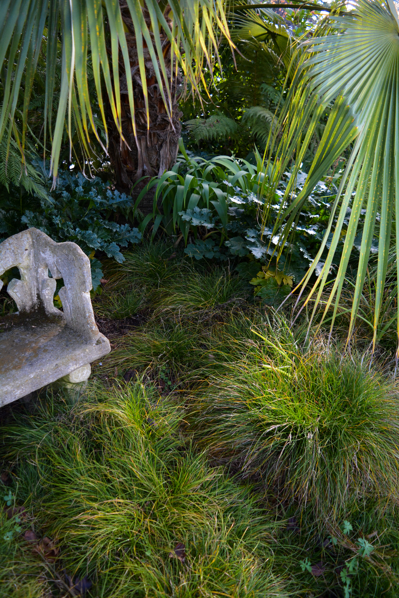 Large tufts of grass in front of the stone bench.