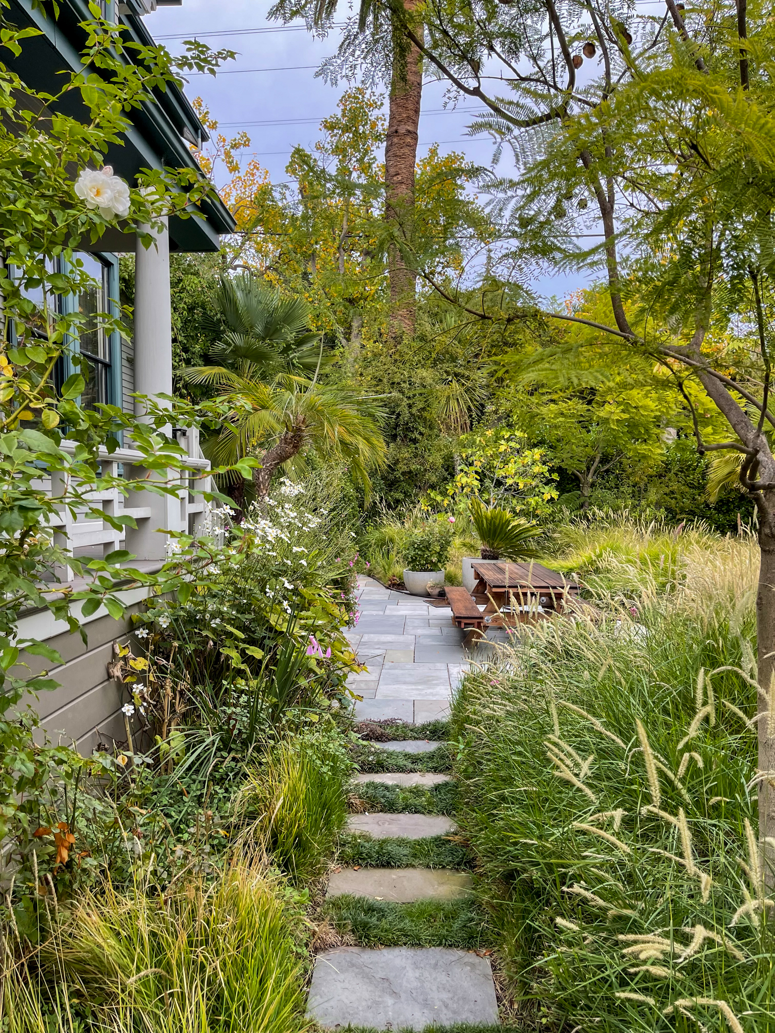 Palm trees and tall grasses decorate a small residential meadowette.