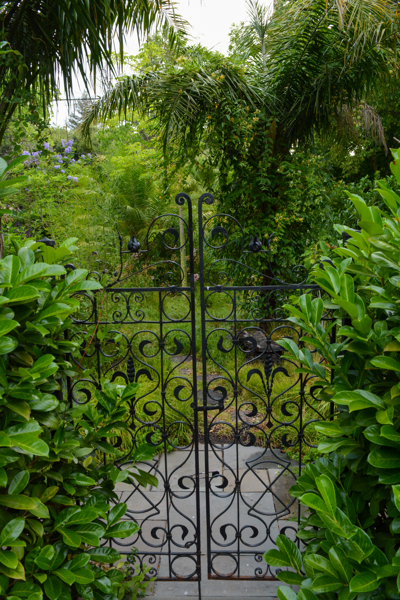 The garden as visible through the thin metal gate.