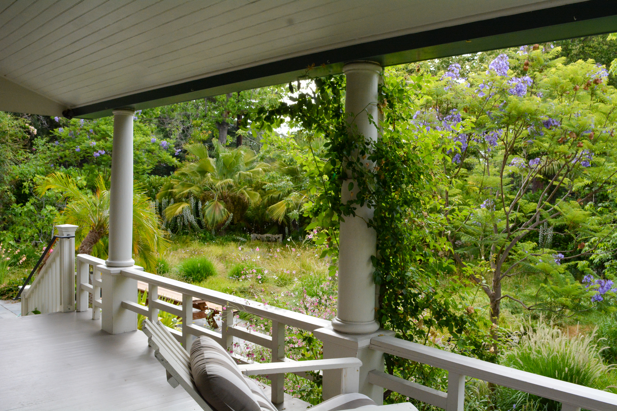 View of the lush garden from the white deck.