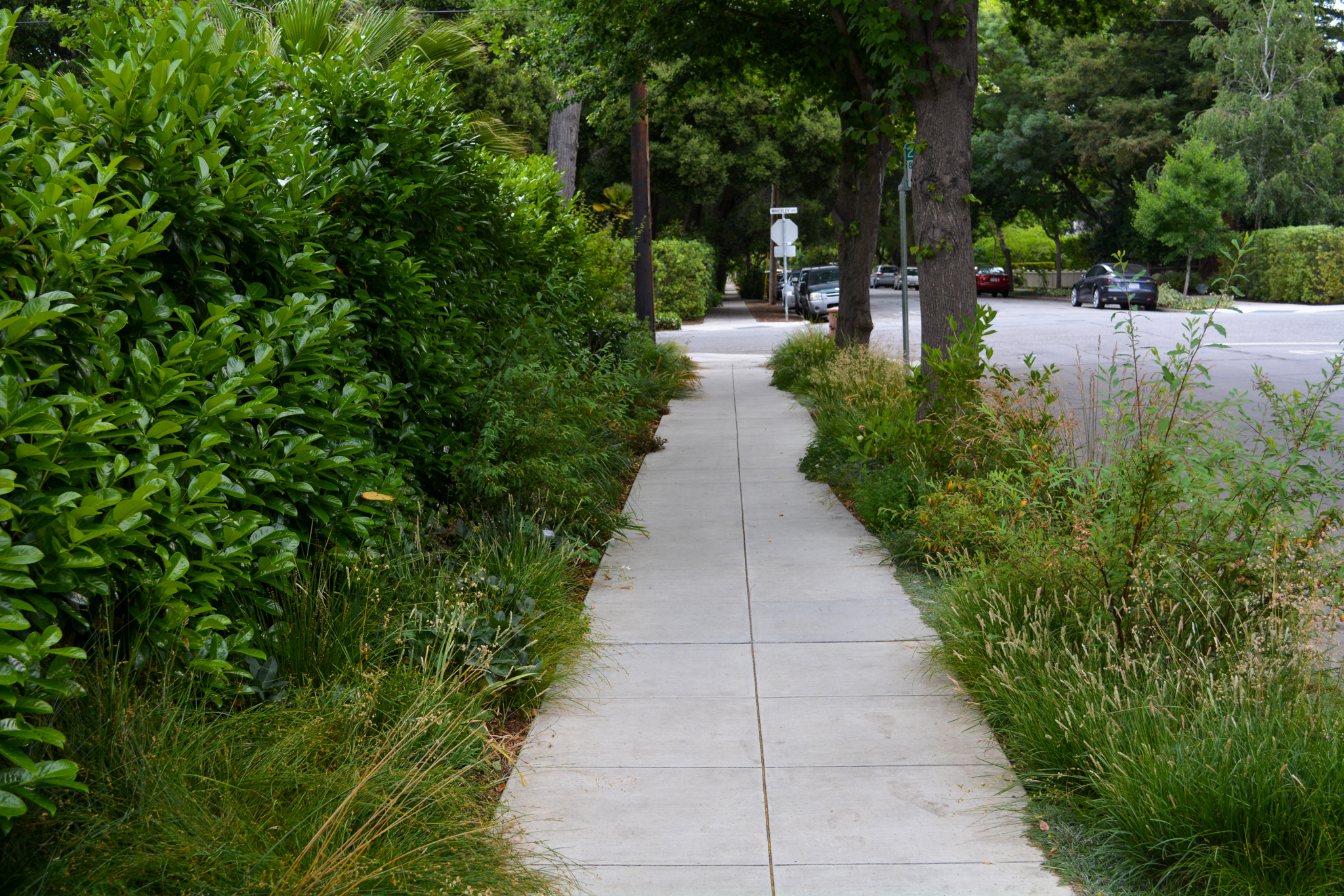 The garden extends around the public sidewalk.