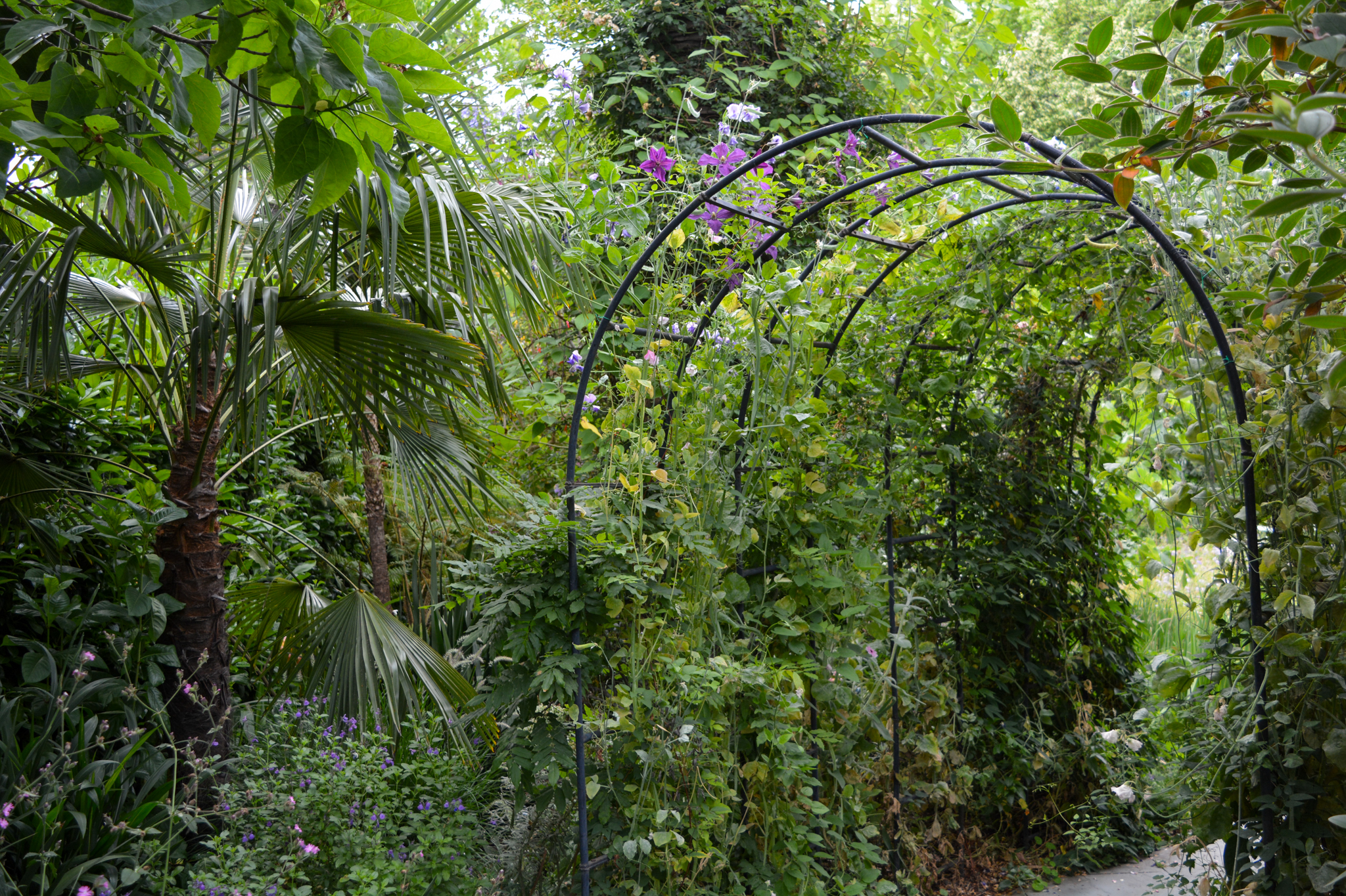 A metal archway marks the entrance to the meadow.