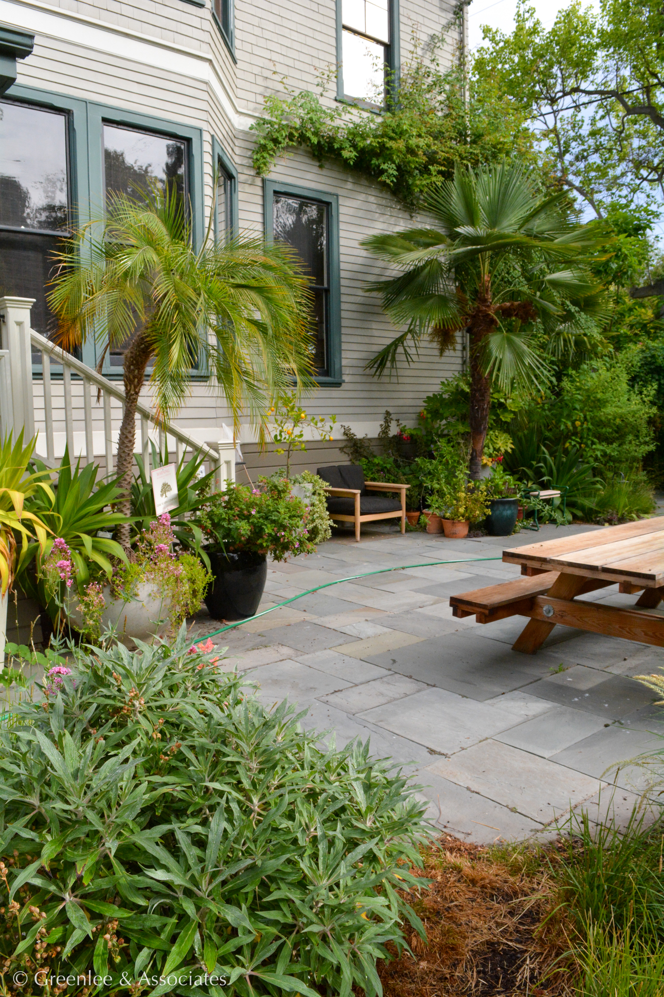 Short phoenix palm trees arch in front of the house.