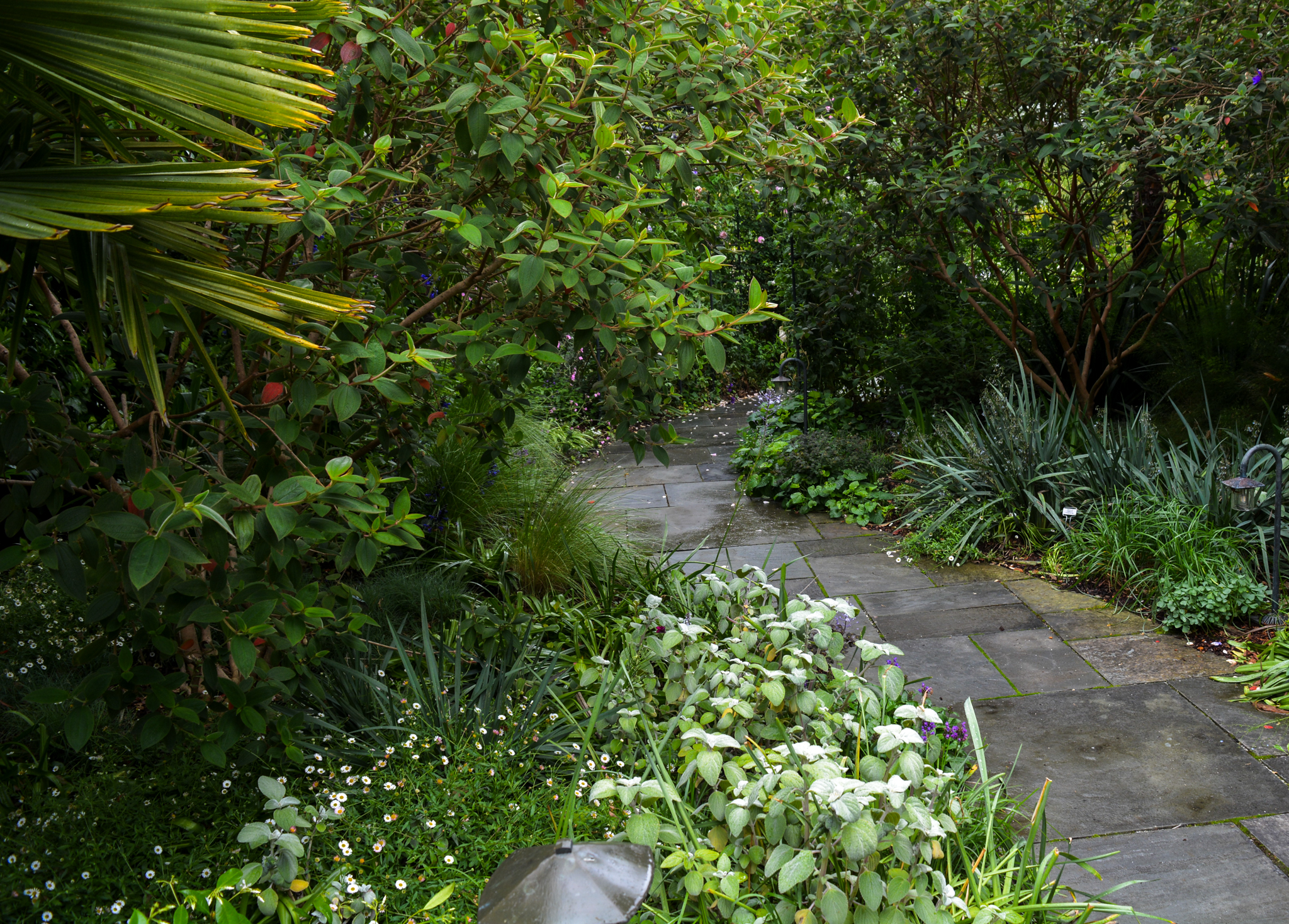 A neat stone path through the garden.