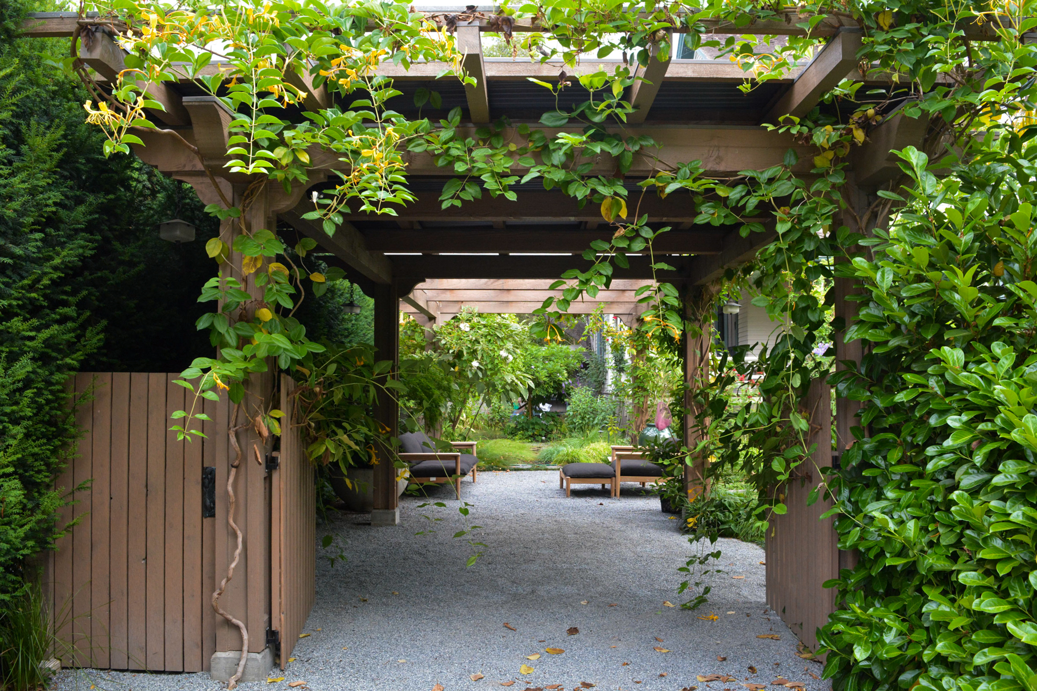 Creeping vines wrap around the wooden trellis.