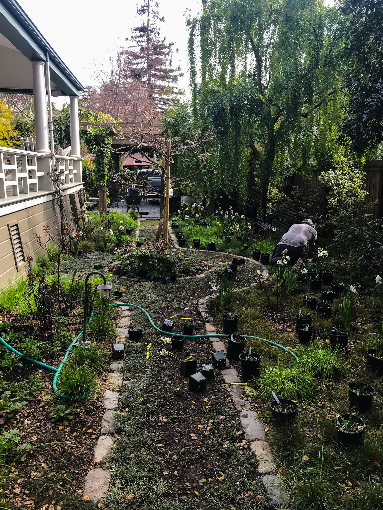 A worker installing the garden grasses.